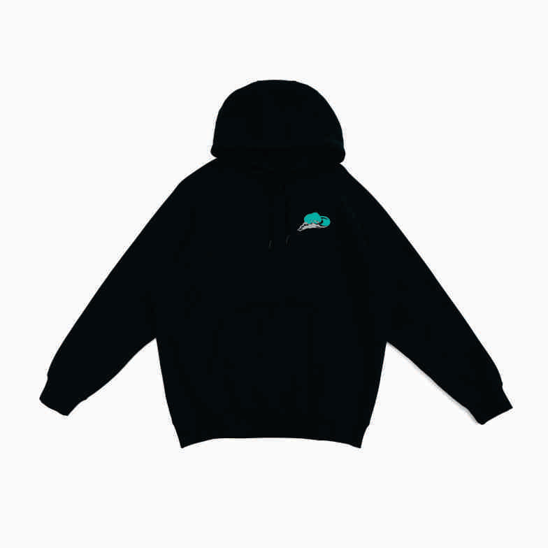 Black Hoodie - Wash the Bullshit Off!! (Blue, Teal or White)